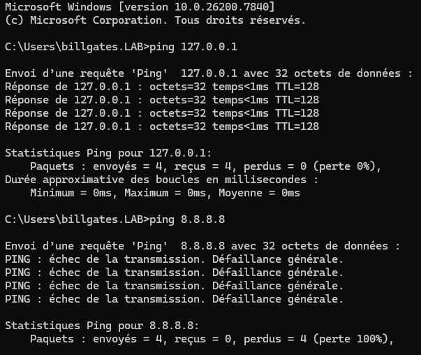 Échec du ping vers 8.8.8.8