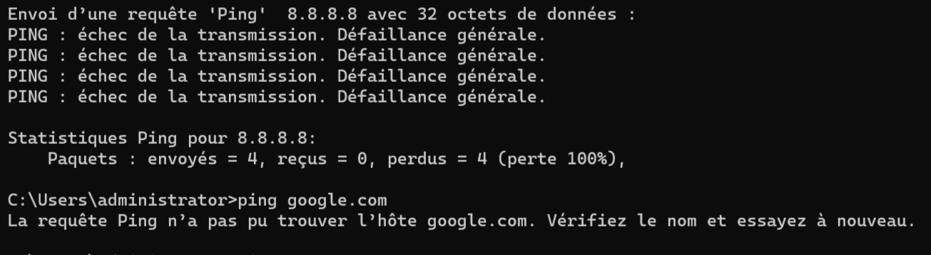Échec du ping vers le domaine