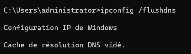Succès du ping après flushdns